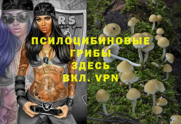 mdpv Баксан