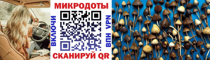 Галлюциногенные грибы ЛСД Соль-Илецк