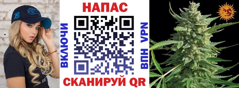 Каннабис планчик  Соль-Илецк 